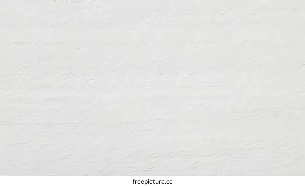 Blank White Texture Background Image