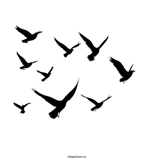 [Transparent Background PNG]Birds Flying in the Sky Illustration