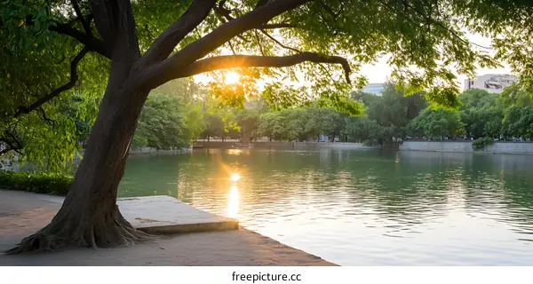 Sunset Reflection in a Lake Surrounded by Lush Green Trees