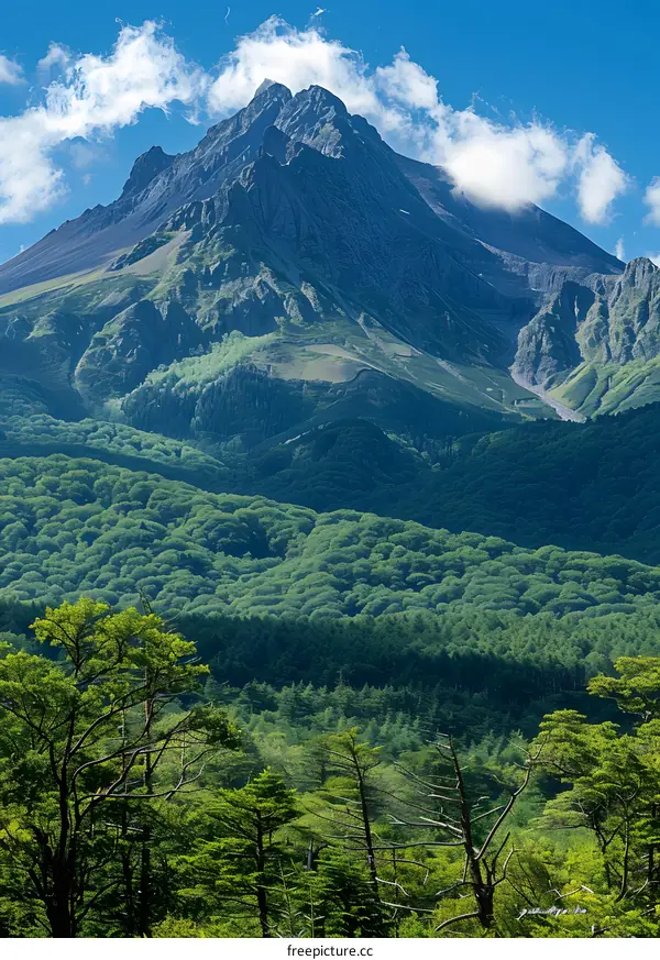 Majestic Mountain Peak Surrounded by Lush Green Forest