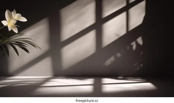 Elegant Empty Interior Scene with Sunlight Shadows