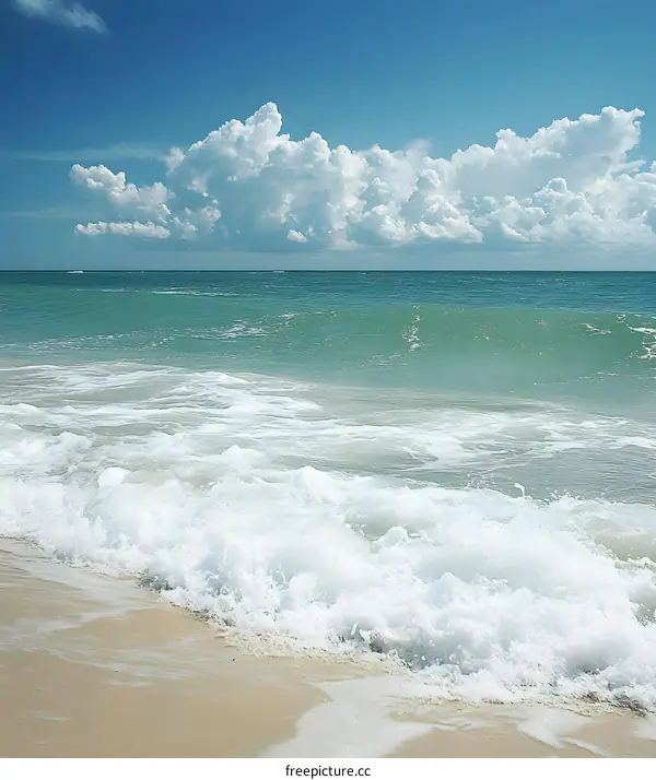 Stunning View of the Ocean with White Foam Waves