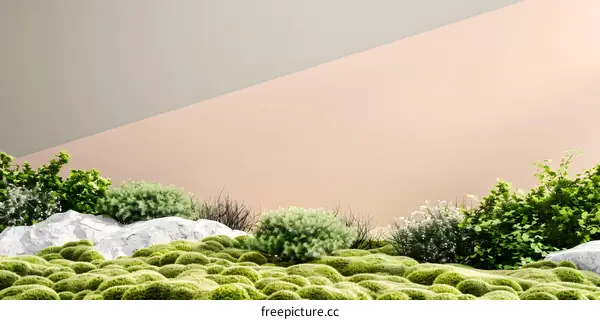 Green Moss Background with Rocks and Plants