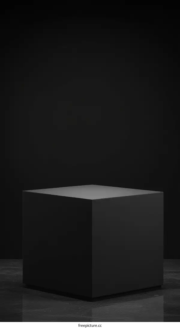 Blank Black Cube Product Display