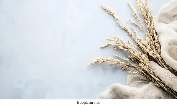 Minimalist Beige and White Background with Wheat and Fabric