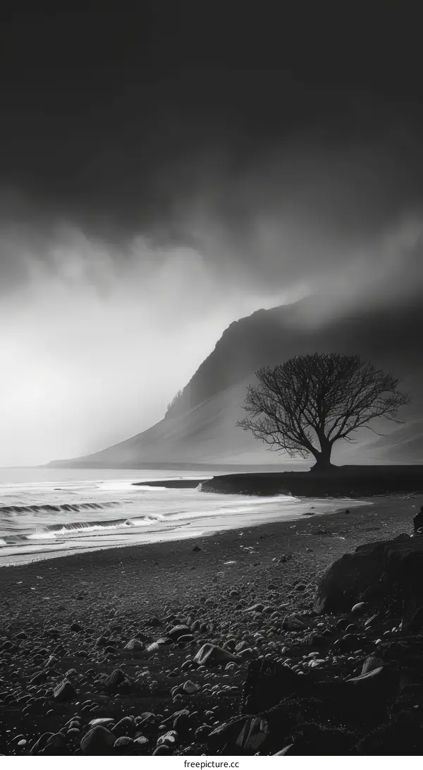 Black and white tree on a beach with a large mountain