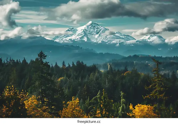 Snow Capped Mountains Overlooking Lush Forest