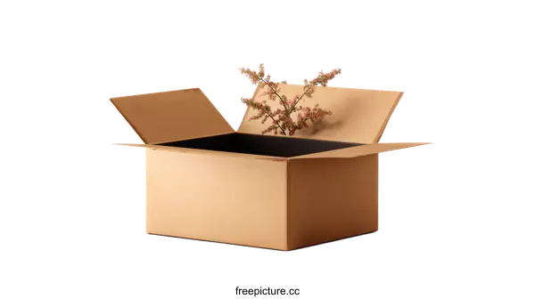 [Transparent Background PNG]Open Cardboard Box with Plant Inside
