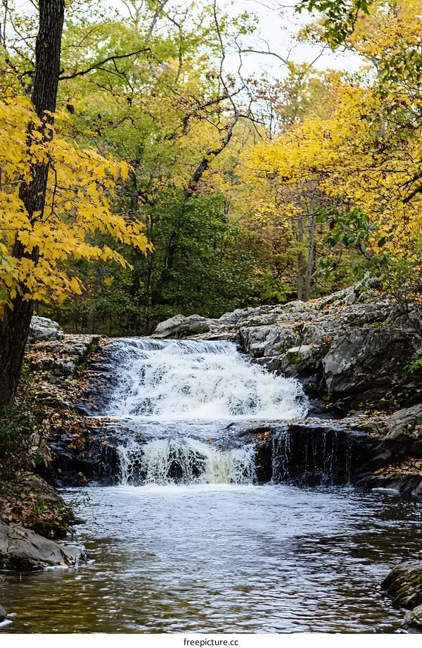 Autumn Waterfall in Forest