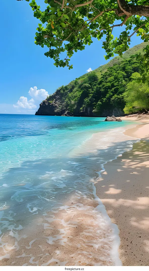 Tropical Beach Shore with Foamy Waves and Lush Greenery