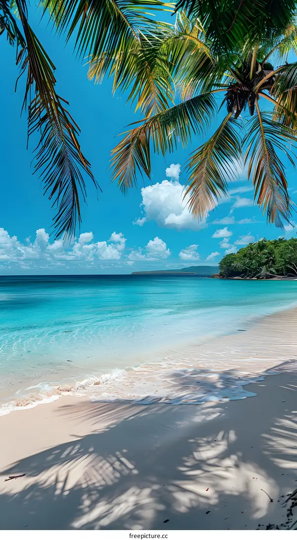 Tropical Beach with Palm Trees and Clear Blue Water