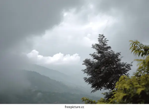 Misty Mountain Landscape with Single Tree