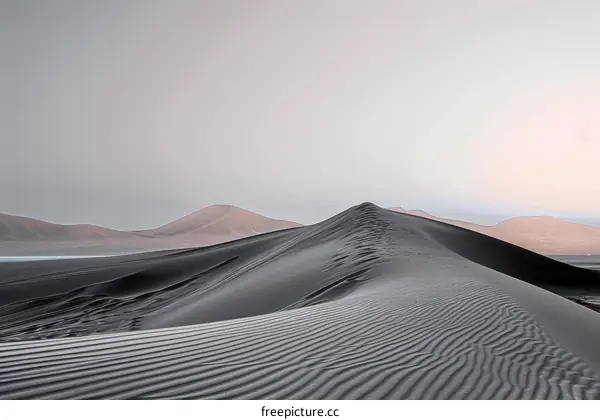Black and white sand dunes under a pale sky