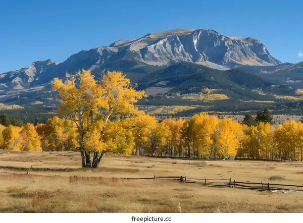 mountain and trees in autumn