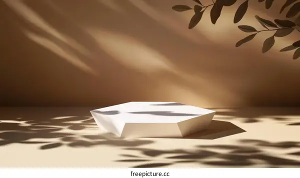 Minimalist Geometric Display Stand with Natural Light