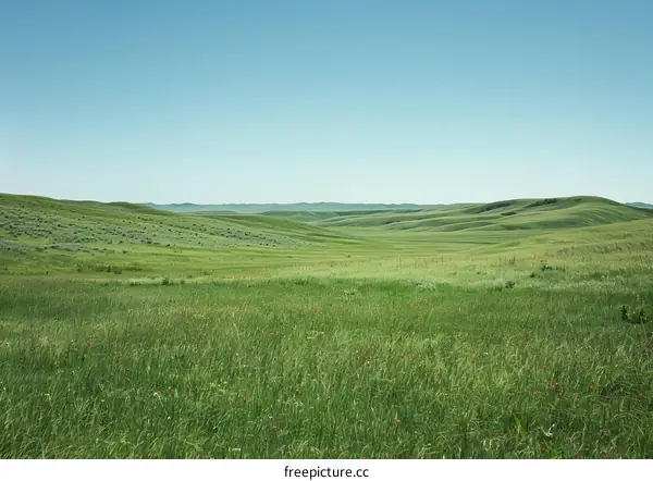 Vast green rolling hills under clear blue sky