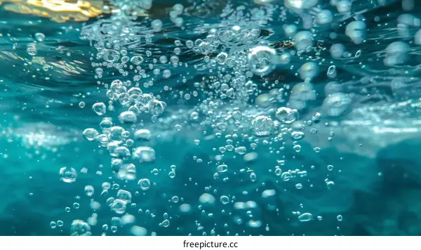 Bubbles in the Blue Ocean