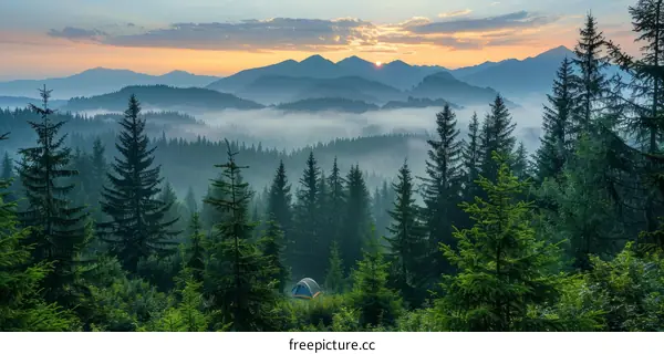 Tent in a Foggy Forest at Sunrise