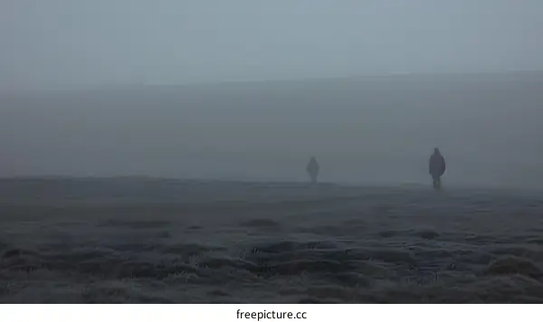 Two People Walking in Fog on a Field