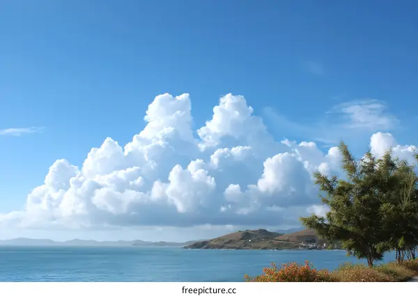 Vast Sky with Cumulus Clouds over Ocean