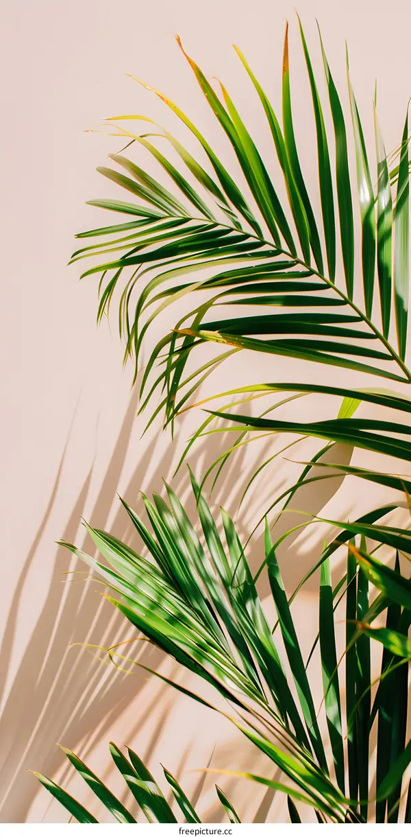 Green Palm Leaves on a Beige Wall