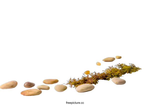 [Transparent Background PNG]Stones and Moss on White Background Minimalist Nature Photography