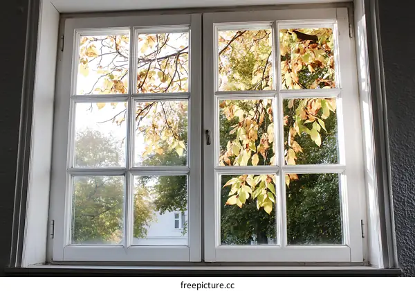Autumn Leaves Through a White Window