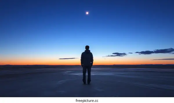 Solitude at Dawn on a Salt Flat