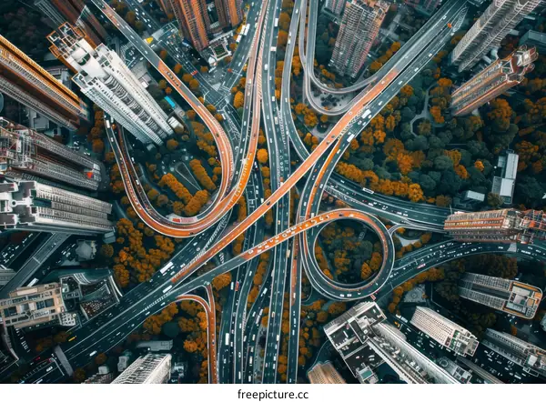 An intricate cityscape with yellow autumn foliage on a complex road network