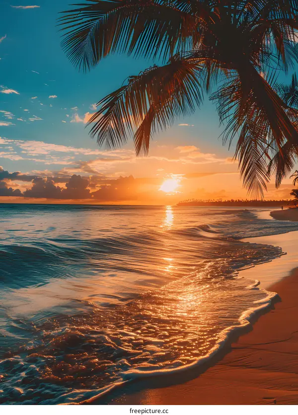 Palm trees on a tropical beach with a setting sun