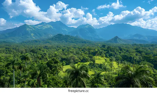 Green mountains and palm trees