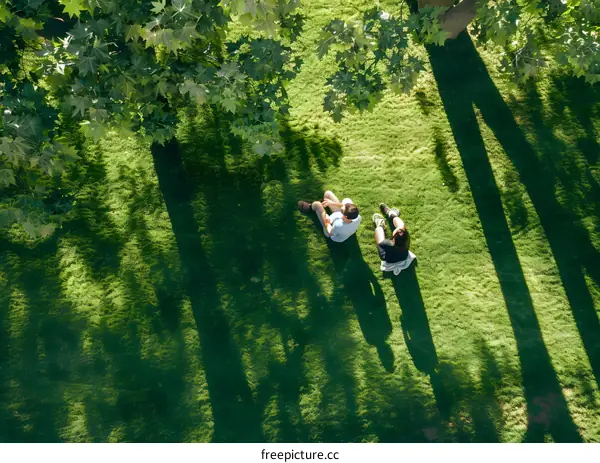 Aerial View of Two People Sitting on Green Grass Under a Tree
