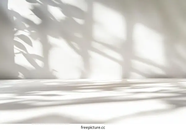 Stylish Minimalist Studio Shadow Background