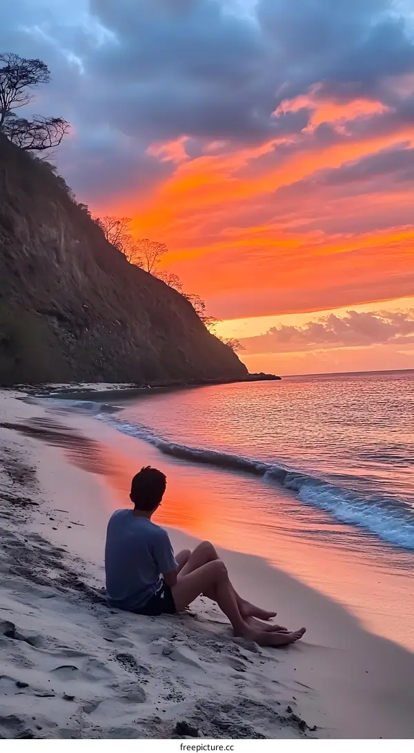 Silhouette of a Person Sitting on Beach at Sunset