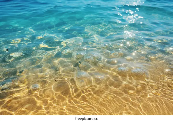Underwater View of Clear Ocean Water and Sandy Ocean Floor