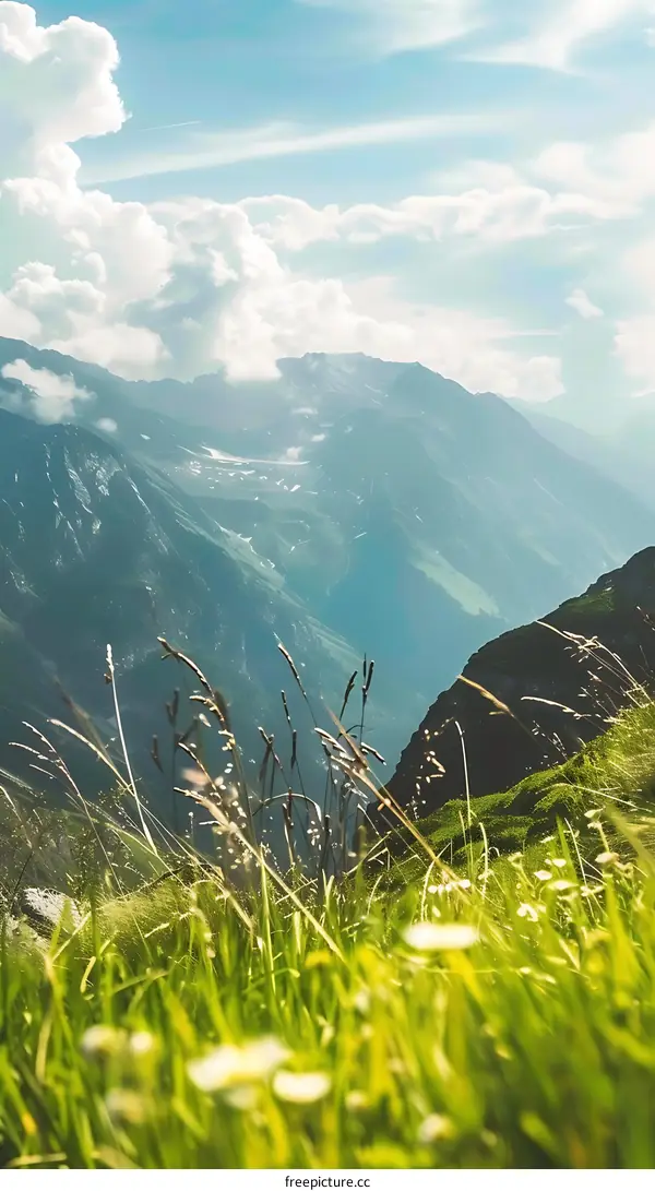 Green Mountain Landscape with Grass and Blue Sky