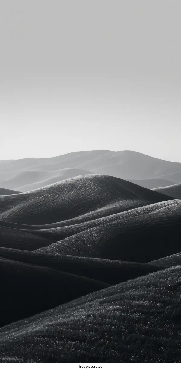 Black and white landscape photography of rolling hills