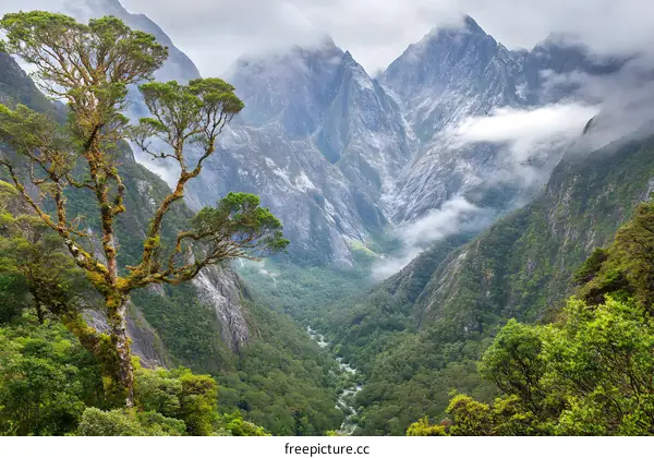 Misty Mountain Valley with Green Trees and River