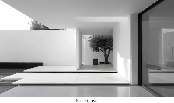 Modern Minimalist Home Architecture with Olive Tree