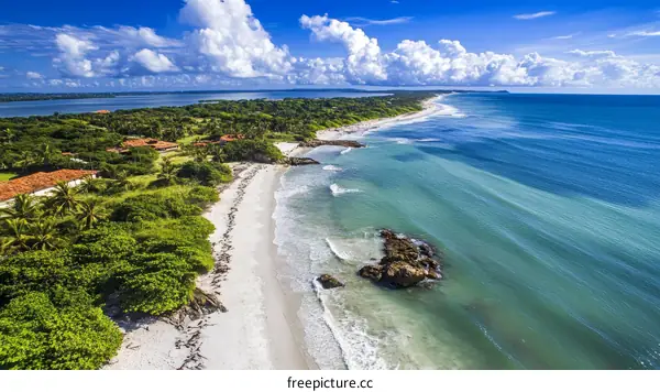 Aerial View of a Tropical Beach Paradise
