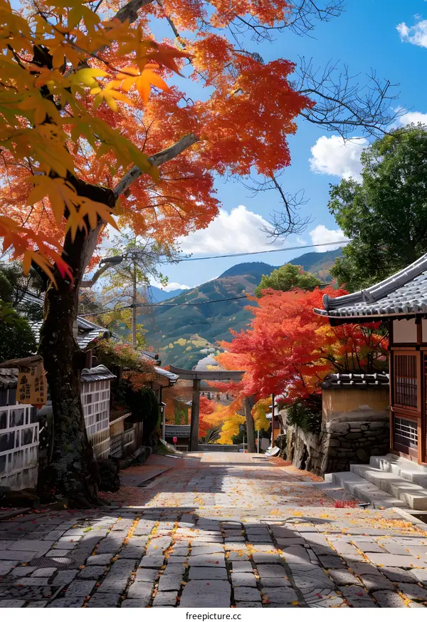 Autumn Foliage in Japanese Village with Stone Path