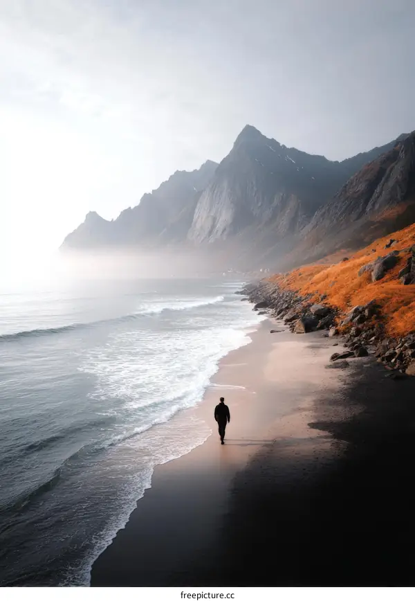 Solitude on the Misty Beach with Majestic Mountains