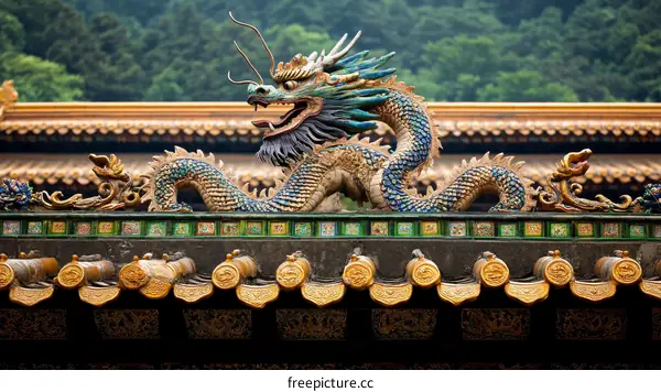 Chinese Dragon Ornament on Roof