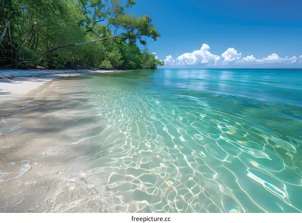 The beach is clean and the water is clear.