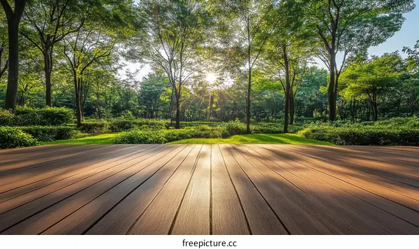 Peaceful Park Wooden Deck at Sunrise