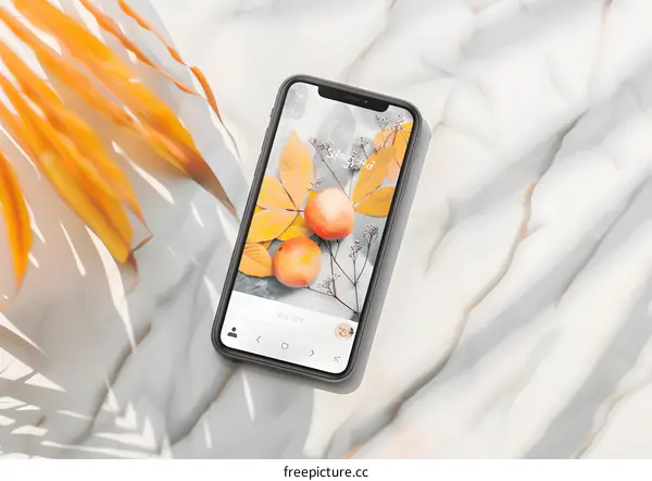 Smartphone screen with autumn leaves and fruits