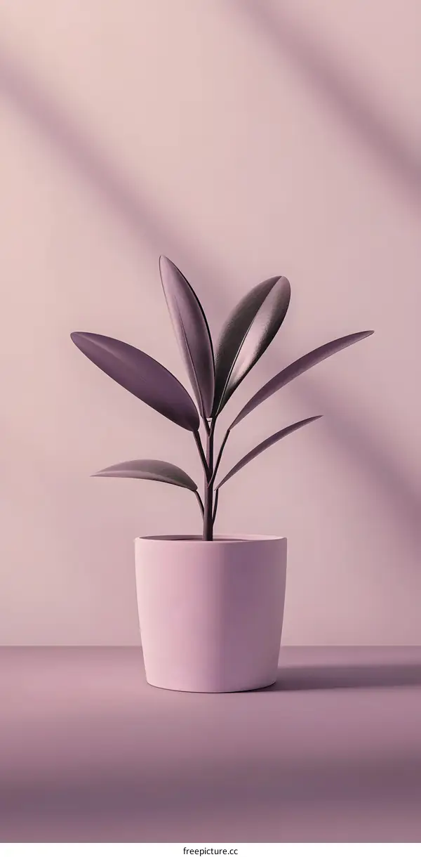 Minimalist Plant in Pot with Pink Background