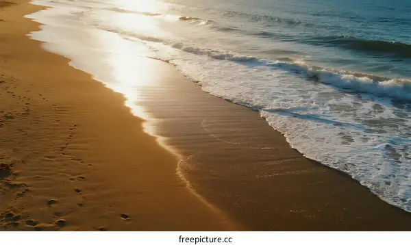 Golden Sandy Beach with Gentle Ocean Waves at Sunset