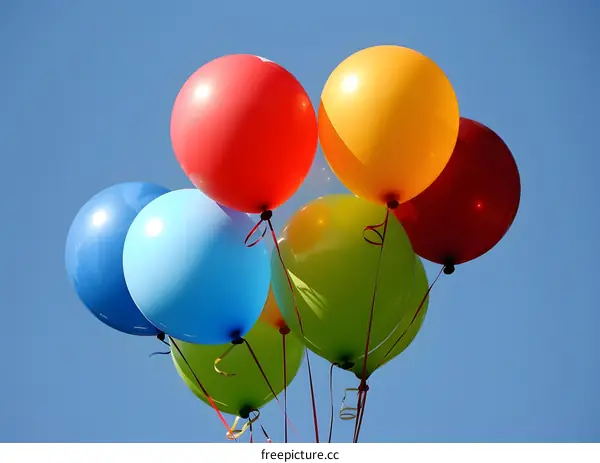 Colorful Balloons Floating in Blue Sky