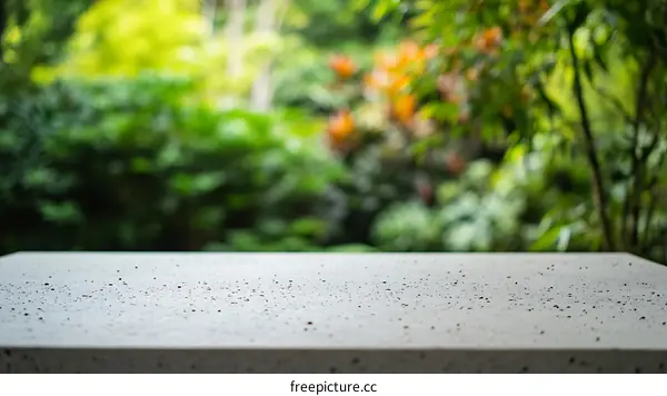 Empty Gray Concrete Table Top with Blurred Garden Background